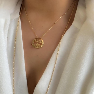 Detalhes do produto Colar Liso Árvore da Vida em ouro